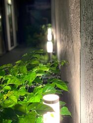 Serangoon Garden Estate (D19), Semi-Detached #613719081